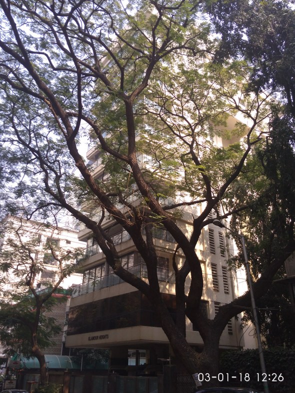 Main - Glamour Heights, Khar West